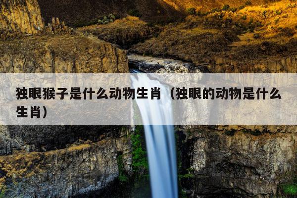 独眼猴子是什么动物生肖（独眼的动物是什么生肖）