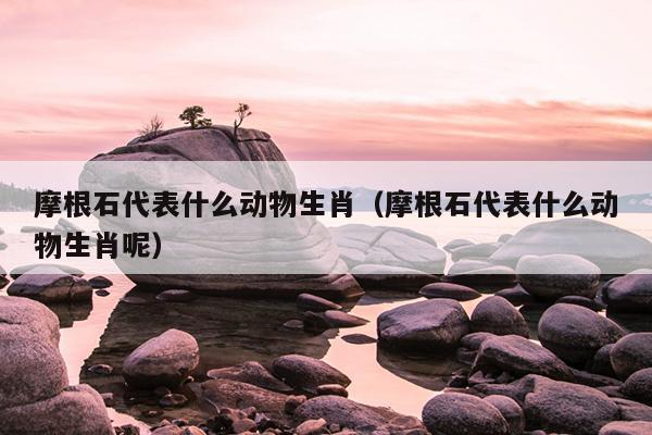 摩根石代表什么动物生肖（摩根石代表什么动物生肖呢）
