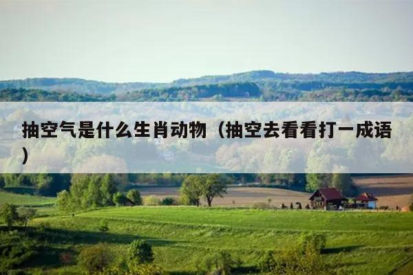 抽空气是什么生肖动物（抽空去看看打一成语）