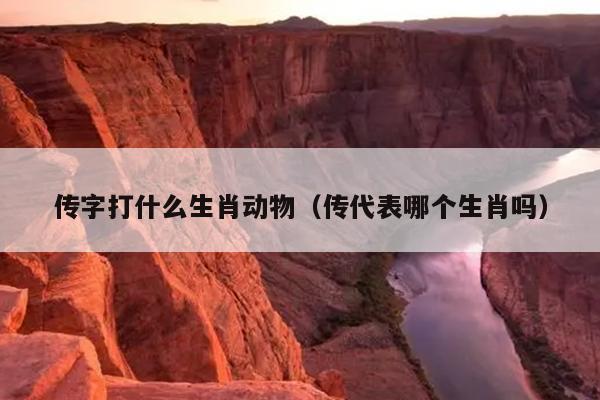 传字打什么生肖动物（传代表哪个生肖吗）