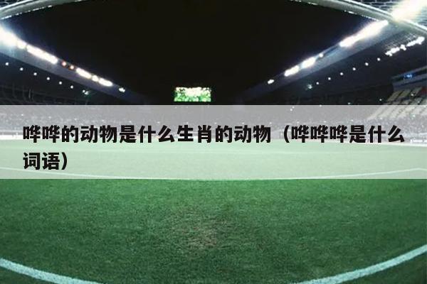 哗哗的动物是什么生肖的动物（哗哗哗是什么词语）