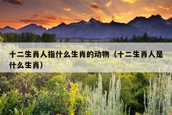 十二生肖人指什么生肖的动物（十二生肖人是什么生肖）