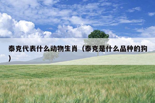 泰克代表什么动物生肖（泰克是什么品种的狗）