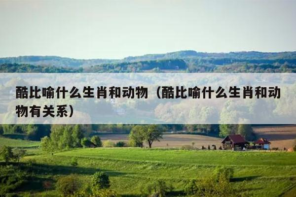酷比喻什么生肖和动物（酷比喻什么生肖和动物有关系）