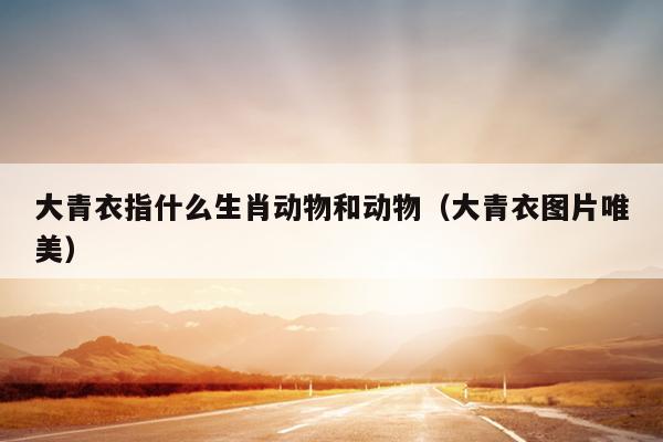 大青衣指什么生肖动物和动物（大青衣图片唯美）