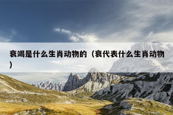 衰竭是什么生肖动物的（衰代表什么生肖动物）