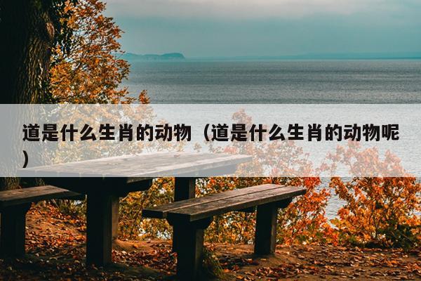 道是什么生肖的动物（道是什么生肖的动物呢）