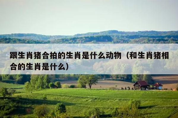 跟生肖猪合拍的生肖是什么动物（和生肖猪相合的生肖是什么）