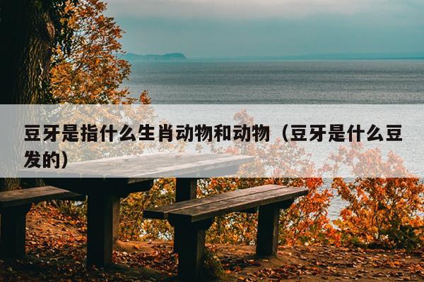 豆牙是指什么生肖动物和动物（豆牙是什么豆发的）