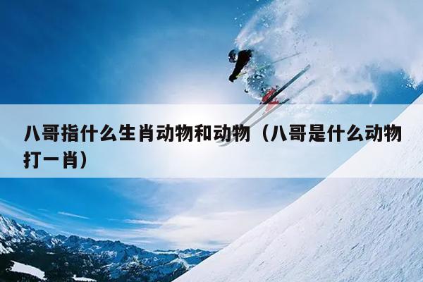 八哥指什么生肖动物和动物（八哥是什么动物打一肖）
