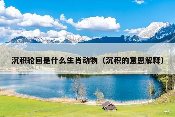 沉积轮回是什么生肖动物（沉积的意思解释）