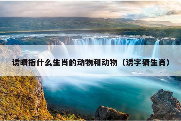 诱晴指什么生肖的动物和动物（诱字猜生肖）