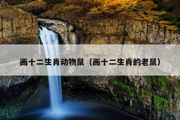 画十二生肖动物鼠（画十二生肖的老鼠）