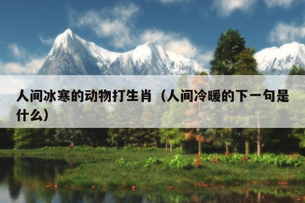 人间冰寒的动物打生肖（人间冷暖的下一句是什么）
