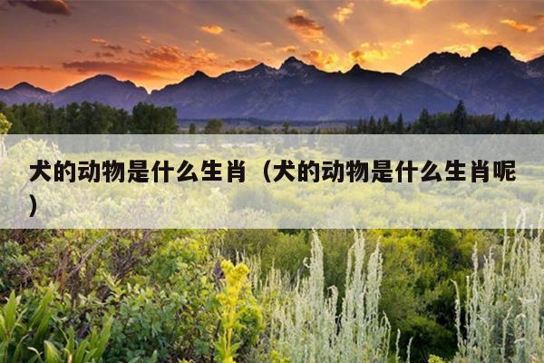 犬的动物是什么生肖（犬的动物是什么生肖呢）