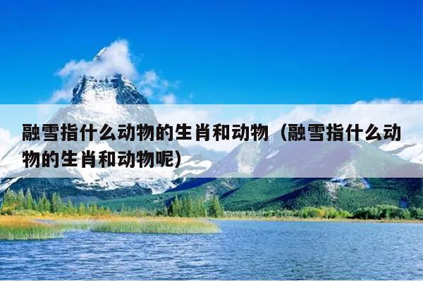 融雪指什么动物的生肖和动物（融雪指什么动物的生肖和动物呢）