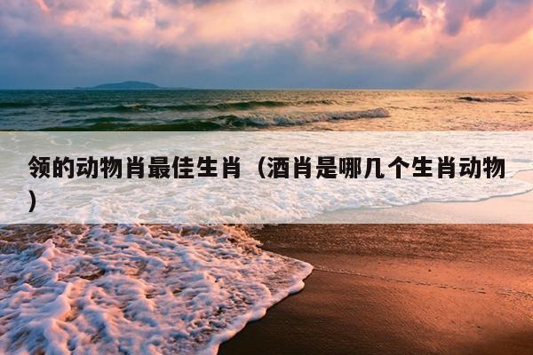 领的动物肖最佳生肖（酒肖是哪几个生肖动物）