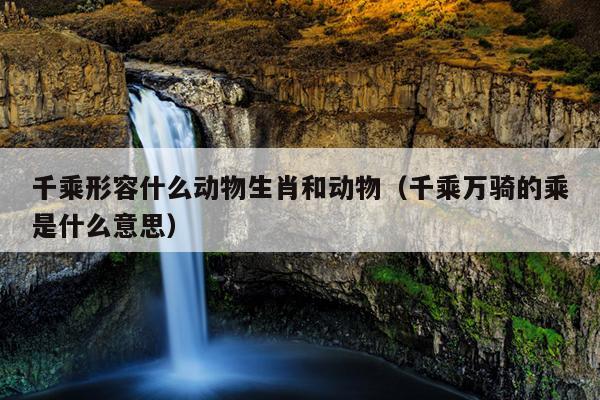 千乘形容什么动物生肖和动物（千乘万骑的乘是什么意思）