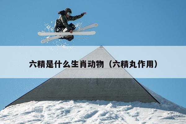 六精是什么生肖动物（六精丸作用）
