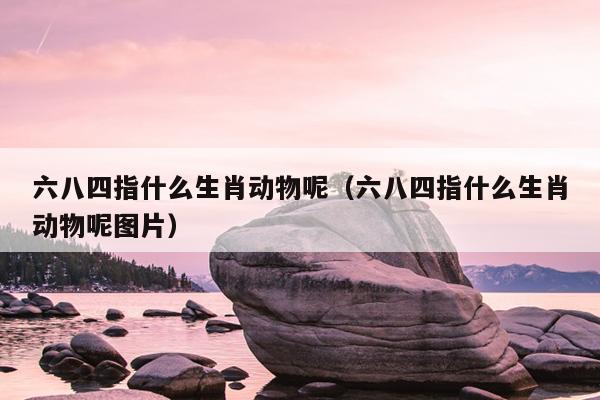 六八四指什么生肖动物呢（六八四指什么生肖动物呢图片）