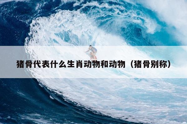 猪骨代表什么生肖动物和动物（猪骨别称）