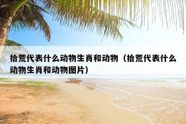拾荒代表什么动物生肖和动物（拾荒代表什么动物生肖和动物图片）