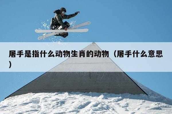 屠手是指什么动物生肖的动物（屠手什么意思）