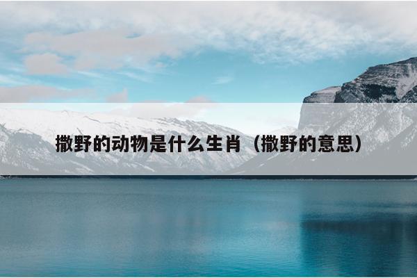 撒野的动物是什么生肖（撒野的意思）