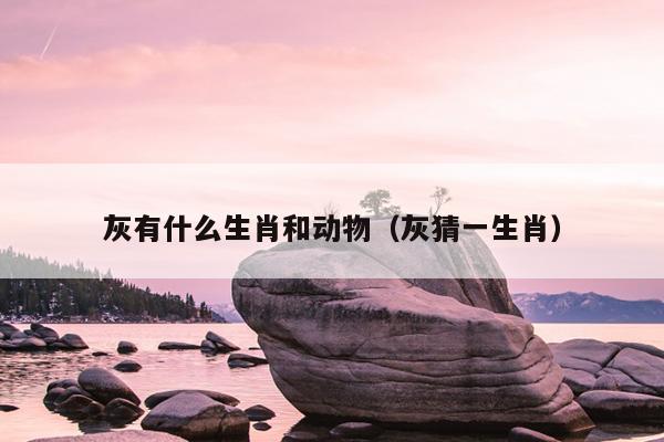 灰有什么生肖和动物（灰猜一生肖）