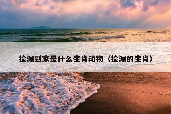 捡漏到家是什么生肖动物（捡漏的生肖）