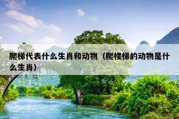 爬梯代表什么生肖和动物（爬楼梯的动物是什么生肖）