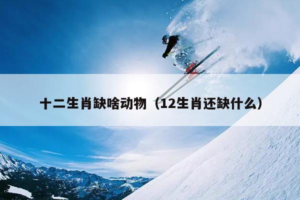 十二生肖缺啥动物（12生肖还缺什么）