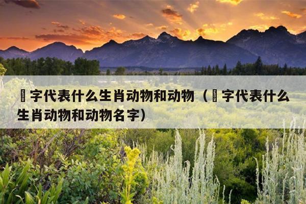 狝字代表什么生肖动物和动物（狝字代表什么生肖动物和动物名字）