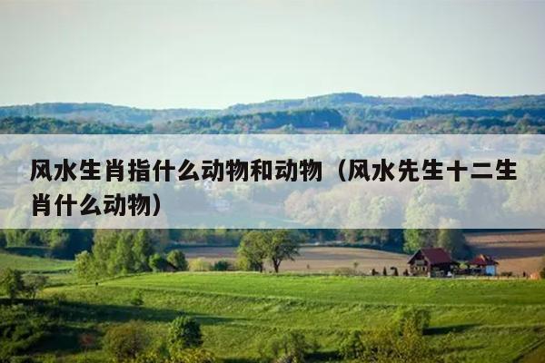 风水生肖指什么动物和动物（风水先生十二生肖什么动物）