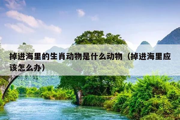 掉进海里的生肖动物是什么动物（掉进海里应该怎么办）