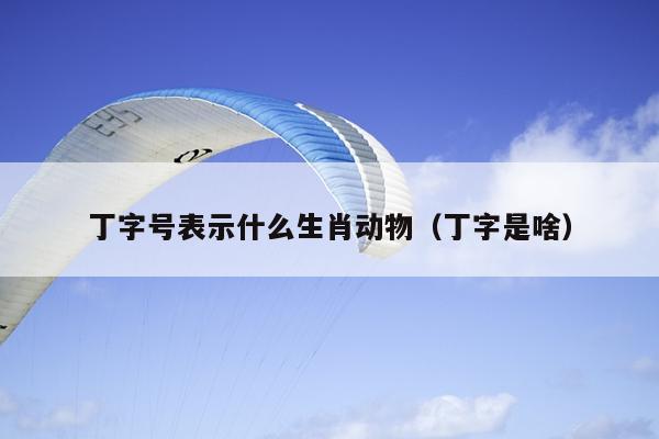 丁字号表示什么生肖动物（丁字是啥）