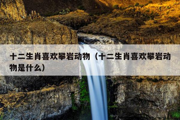 十二生肖喜欢攀岩动物（十二生肖喜欢攀岩动物是什么）