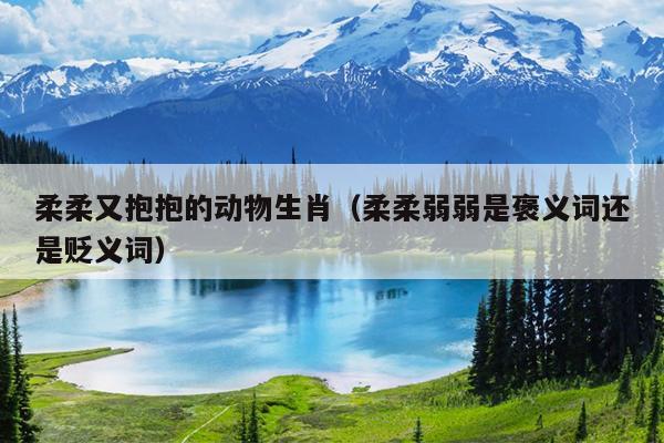 柔柔又抱抱的动物生肖（柔柔弱弱是褒义词还是贬义词）