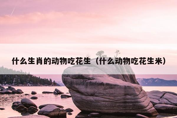 什么生肖的动物吃花生（什么动物吃花生米）