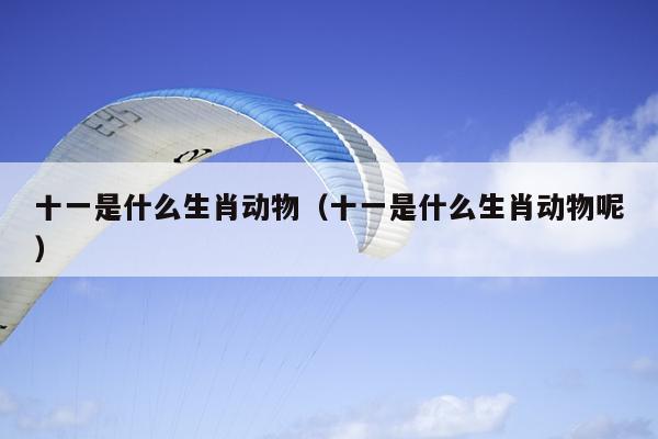 十一是什么生肖动物（十一是什么生肖动物呢）