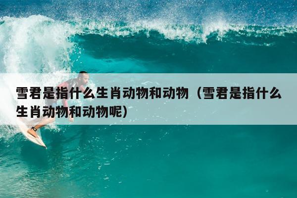 雪君是指什么生肖动物和动物（雪君是指什么生肖动物和动物呢）