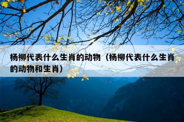 杨柳代表什么生肖的动物（杨柳代表什么生肖的动物和生肖）