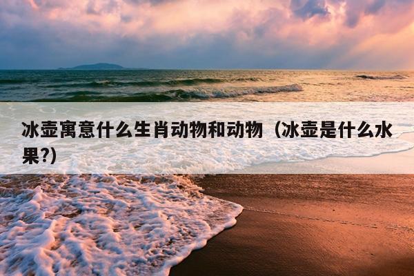 冰壶寓意什么生肖动物和动物（冰壶是什么水果?）