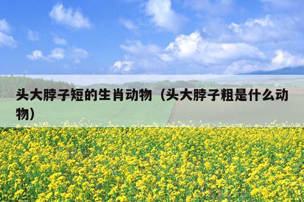 头大脖子短的生肖动物（头大脖子粗是什么动物）