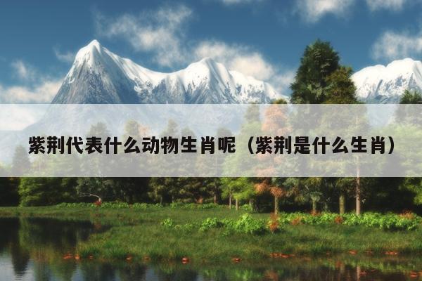 紫荆代表什么动物生肖呢（紫荆是什么生肖）