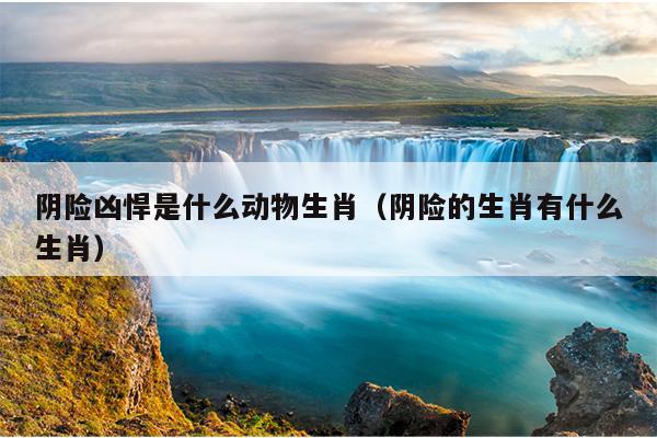 阴险凶悍是什么动物生肖（阴险的生肖有什么生肖）