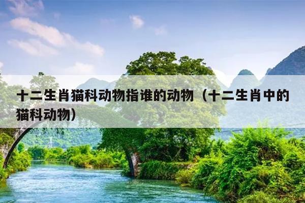 十二生肖猫科动物指谁的动物（十二生肖中的猫科动物）