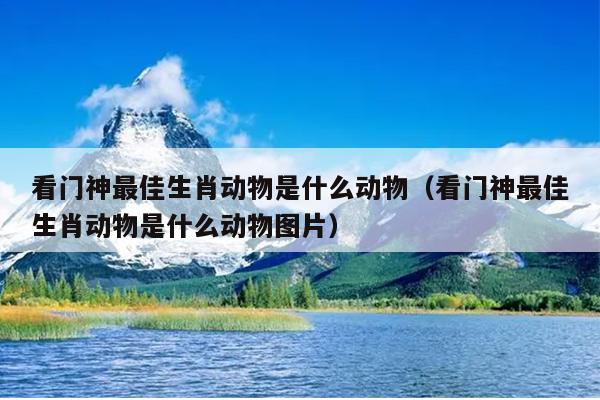 看门神最佳生肖动物是什么动物（看门神最佳生肖动物是什么动物图片）