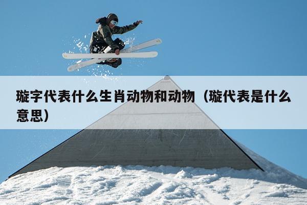 璇字代表什么生肖动物和动物（璇代表是什么意思）