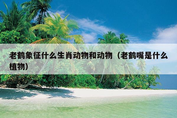 老鹤象征什么生肖动物和动物（老鹤嘴是什么植物）